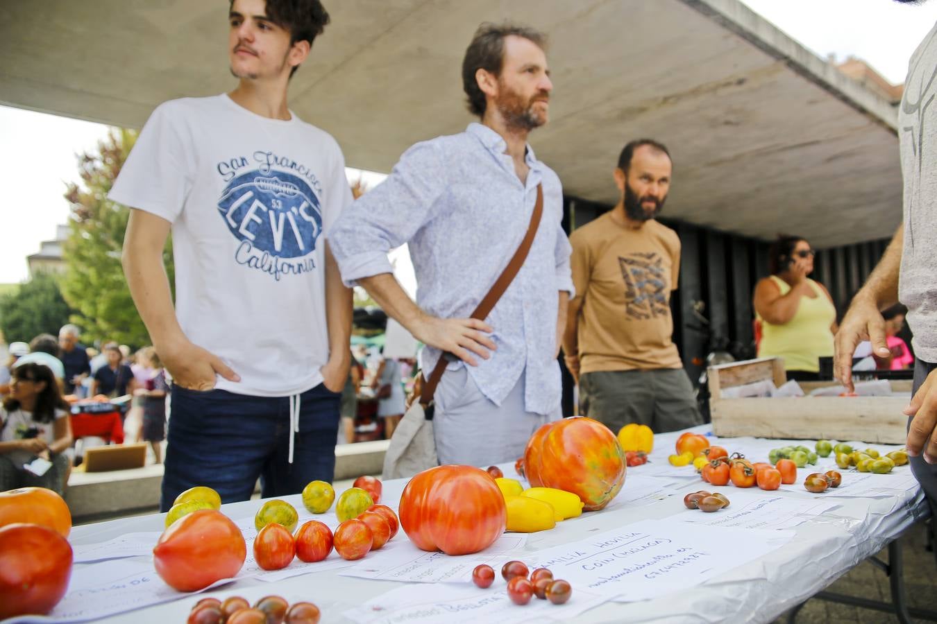 Fotos: Una vuelta por la Feria del Tomate de Bezana