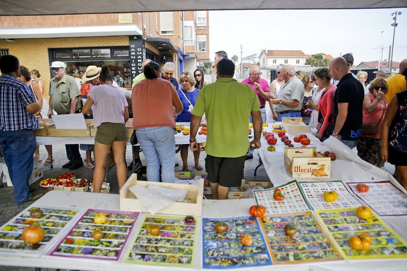 Fotos: Una vuelta por la Feria del Tomate de Bezana