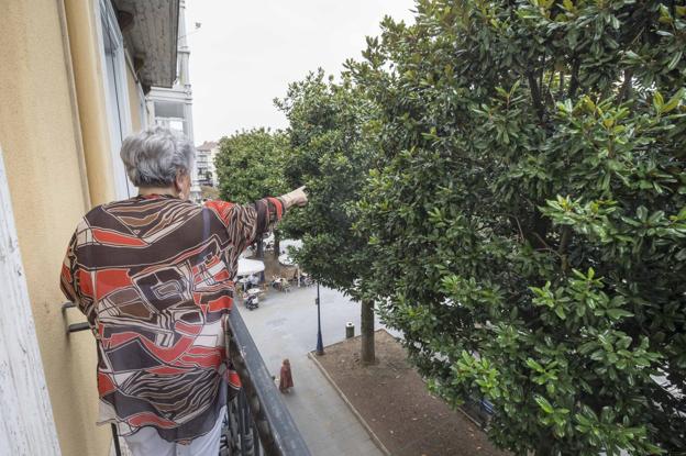 Una vecina de Hernán Cortés señala desde su balcón hacia los magnolios que flanquean la plaza Pombo, cuya altura llega hasta los cuartos pisos de los edificios colindantes.
