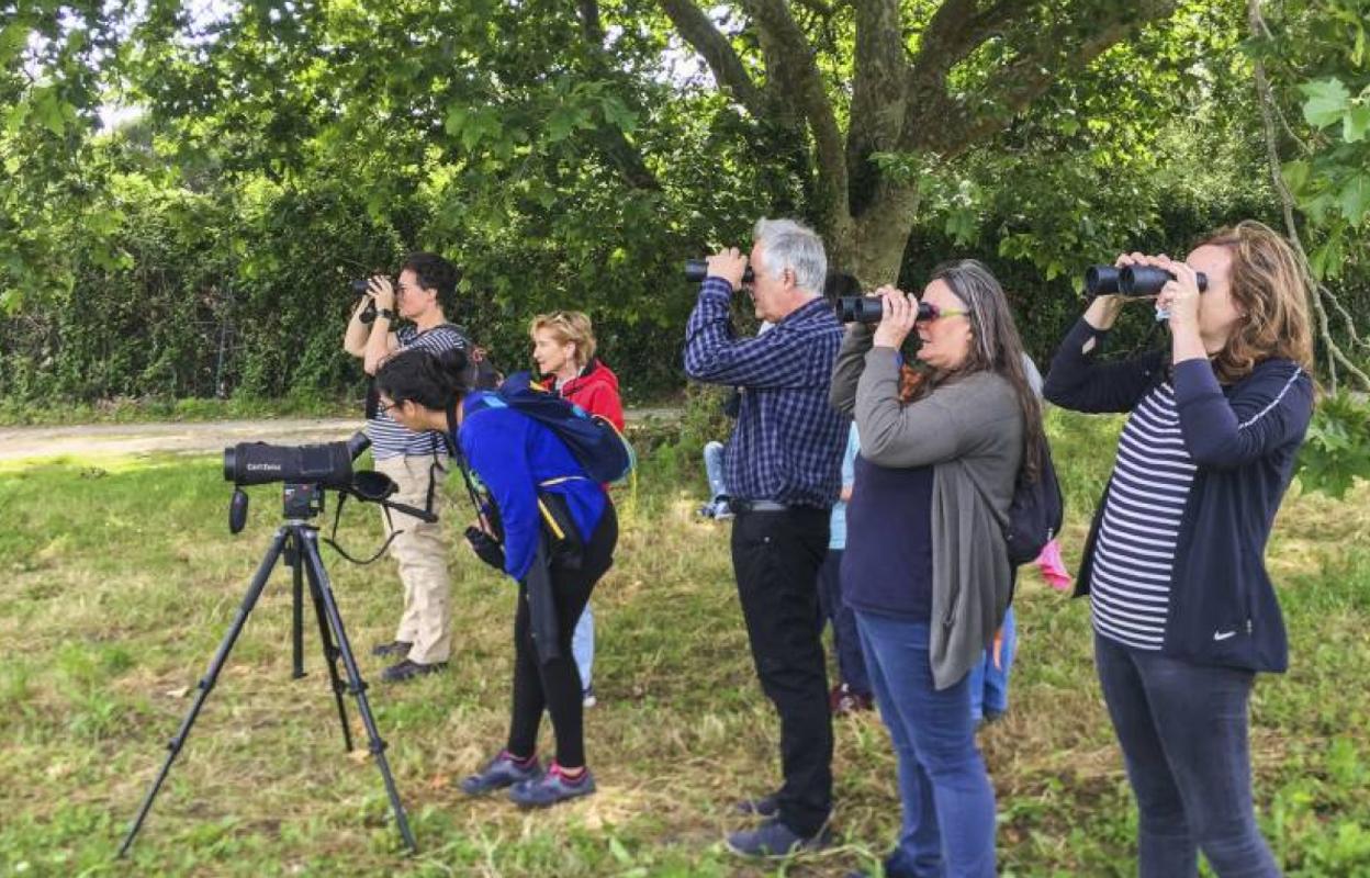 Un grupo realizando una de las rutas interpretativas con material para observación de aves. 