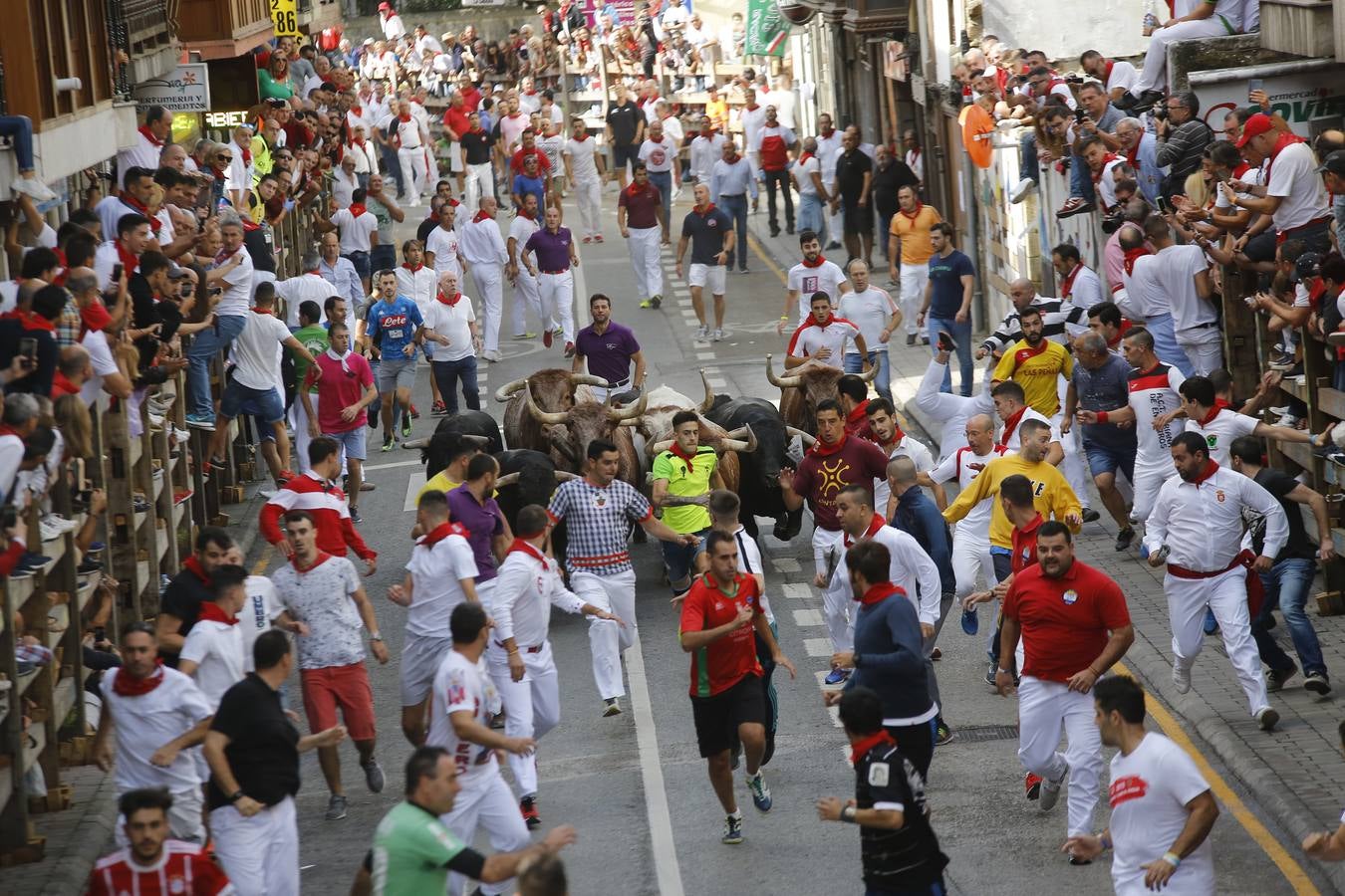 La localidad cántabra ha celebrado un segundo y multitudinario encierro que ha dejado tres contusionados leves.