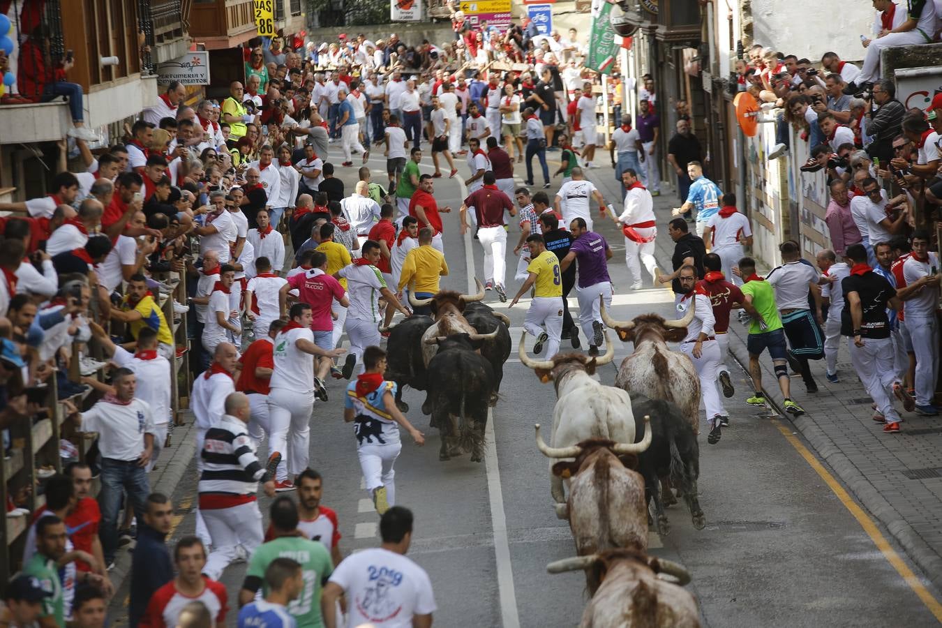 La localidad cántabra ha celebrado un segundo y multitudinario encierro que ha dejado tres contusionados leves.