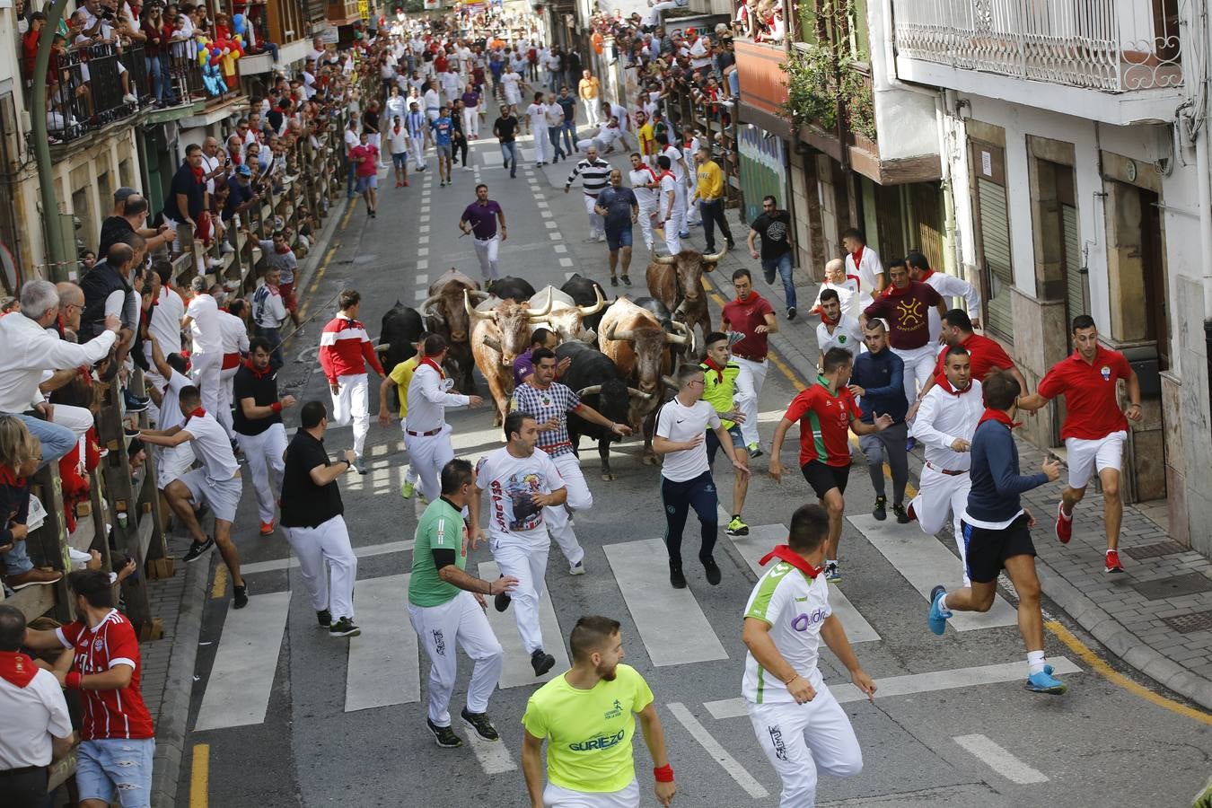 La localidad cántabra ha celebrado un segundo y multitudinario encierro que ha dejado tres contusionados leves.