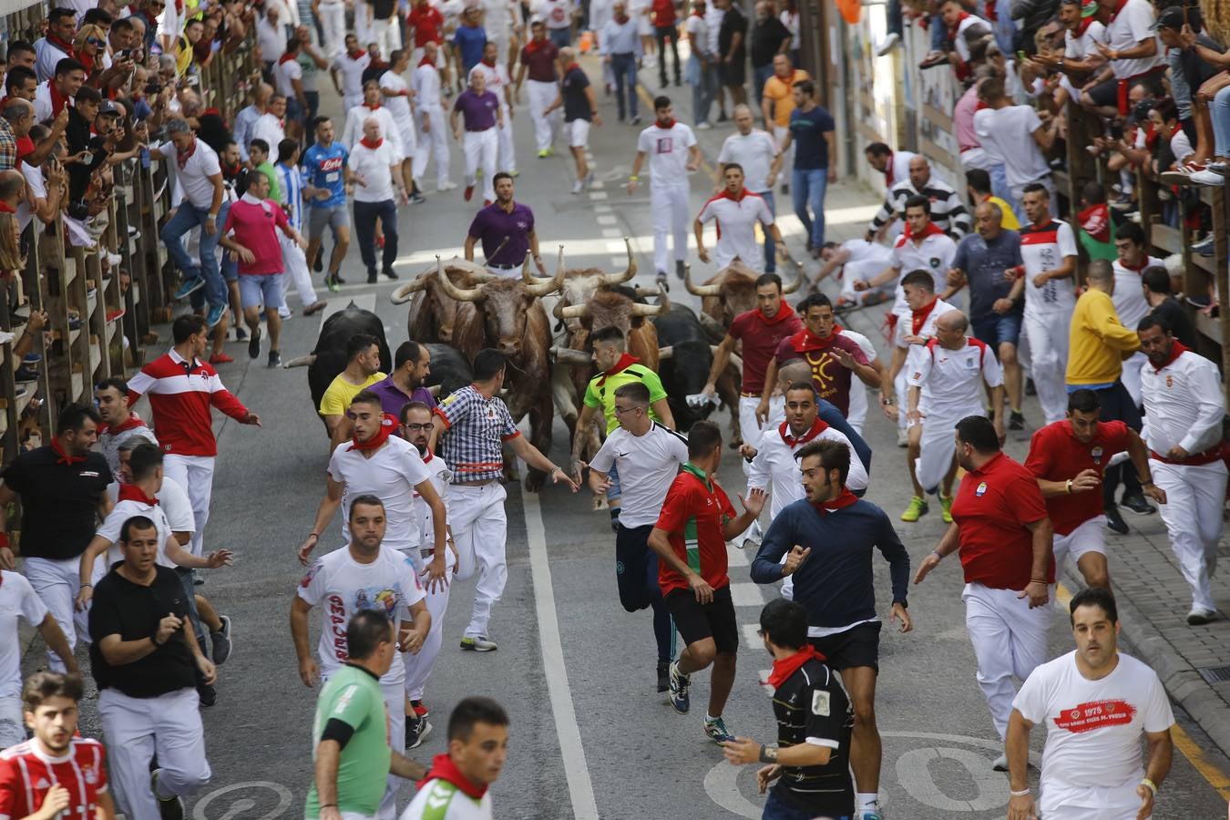 La localidad cántabra ha celebrado un segundo y multitudinario encierro que ha dejado tres contusionados leves.