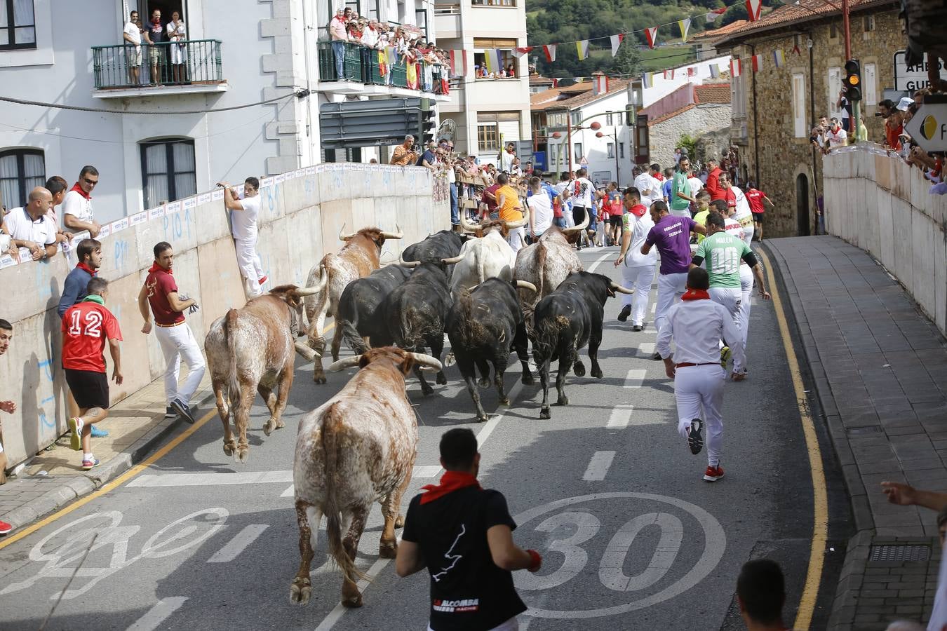 La localidad cántabra ha celebrado un segundo y multitudinario encierro que ha dejado tres contusionados leves.