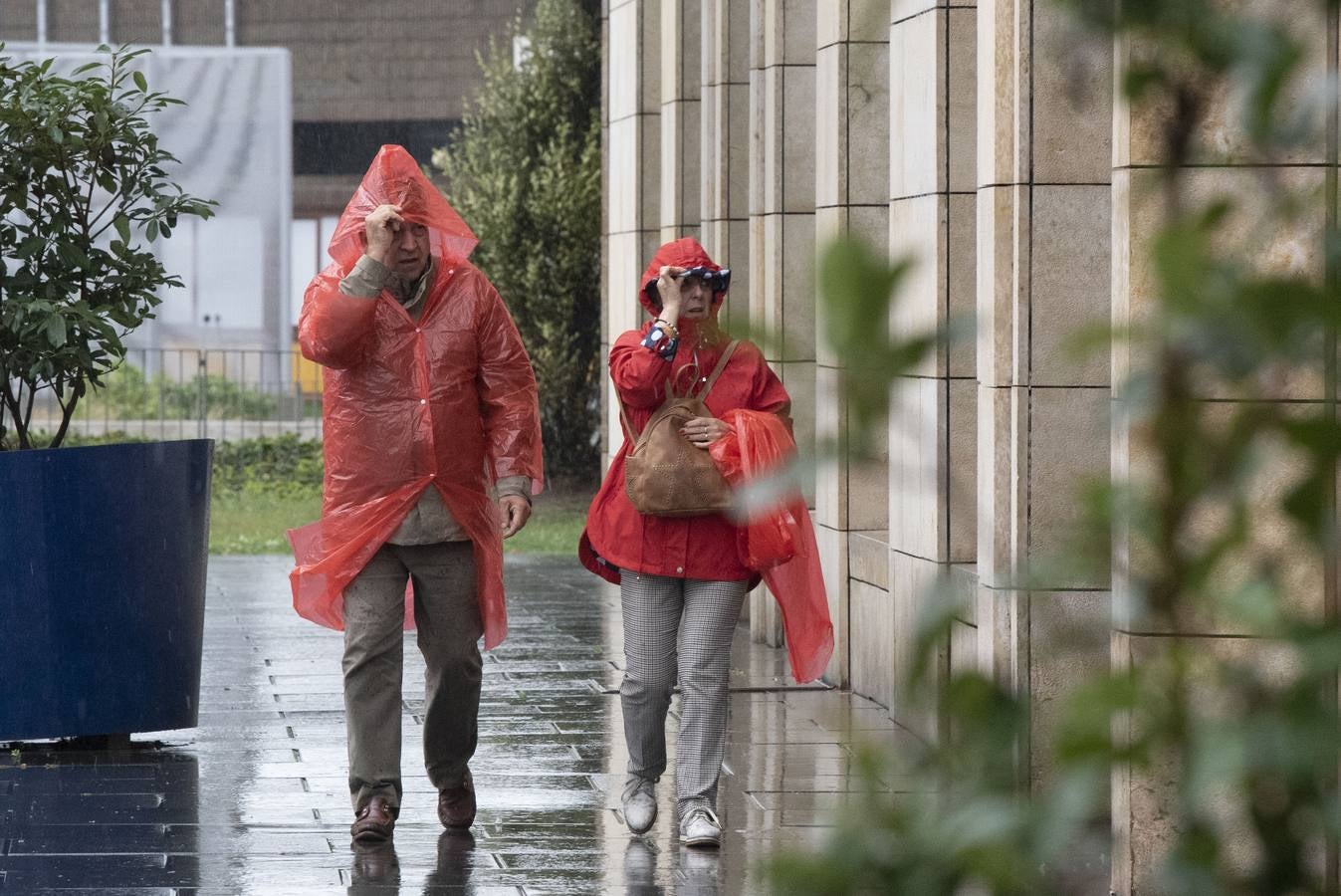 La gota fría que recorre el norte de la península ha dejado hasta este mediodía una precipitación acumulada de hasta 53 litros por metro cuadrado en puntos de Cantabria como Fuente Dé, la máxima de la comunidad. Llueve con gran intensidad en toda la región. En las imágenes, las calles del centro de Santander, complicadas de recorrer caminando este martes debido a la lluvia y el viento