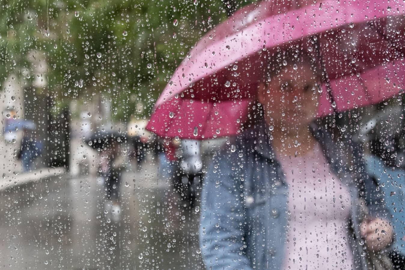 La gota fría que recorre el norte de la península ha dejado hasta este mediodía una precipitación acumulada de hasta 53 litros por metro cuadrado en puntos de Cantabria como Fuente Dé, la máxima de la comunidad. Llueve con gran intensidad en toda la región. En las imágenes, las calles del centro de Santander, complicadas de recorrer caminando este martes debido a la lluvia y el viento