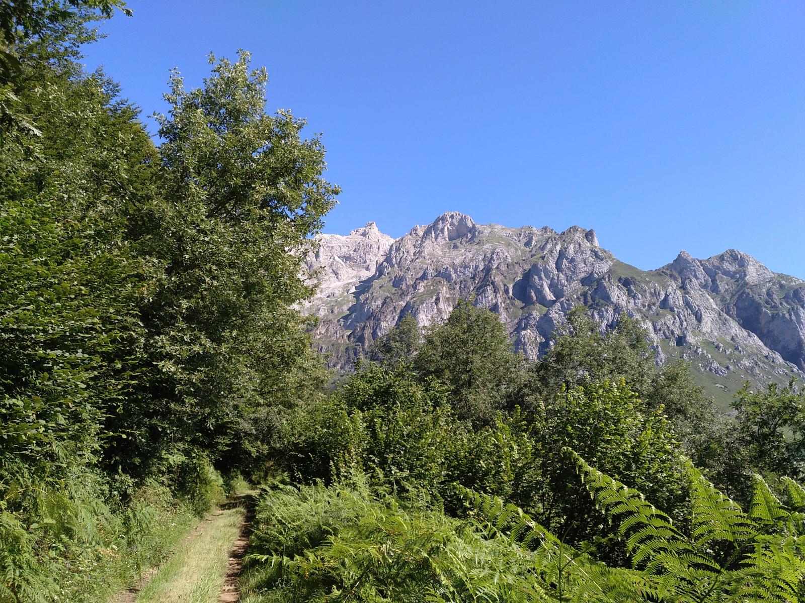 Durante el camino veremos la panorámica de los imponentes Picos de Europa.