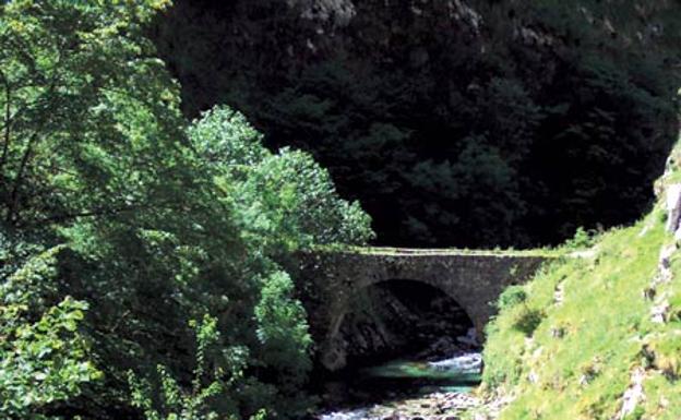 Hayedo de Valdediezma
