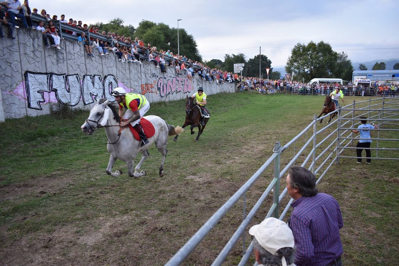 Fotos: Carreras de caballos y burros en Molledo