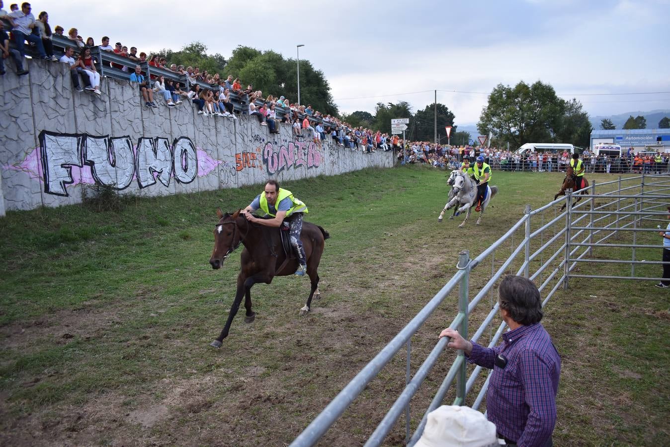 Fotos: Carreras de caballos y burros en Molledo