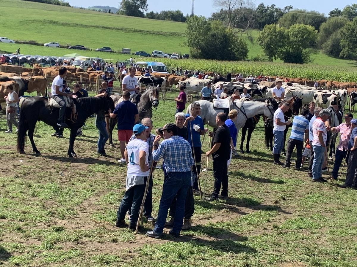 Fotos: Feria ganadera de Liérganes