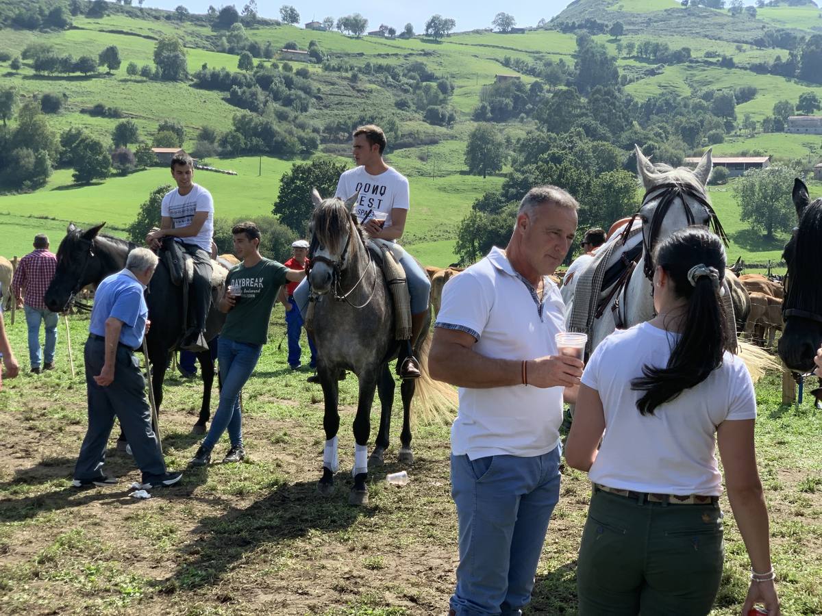 Fotos: Feria ganadera de Liérganes