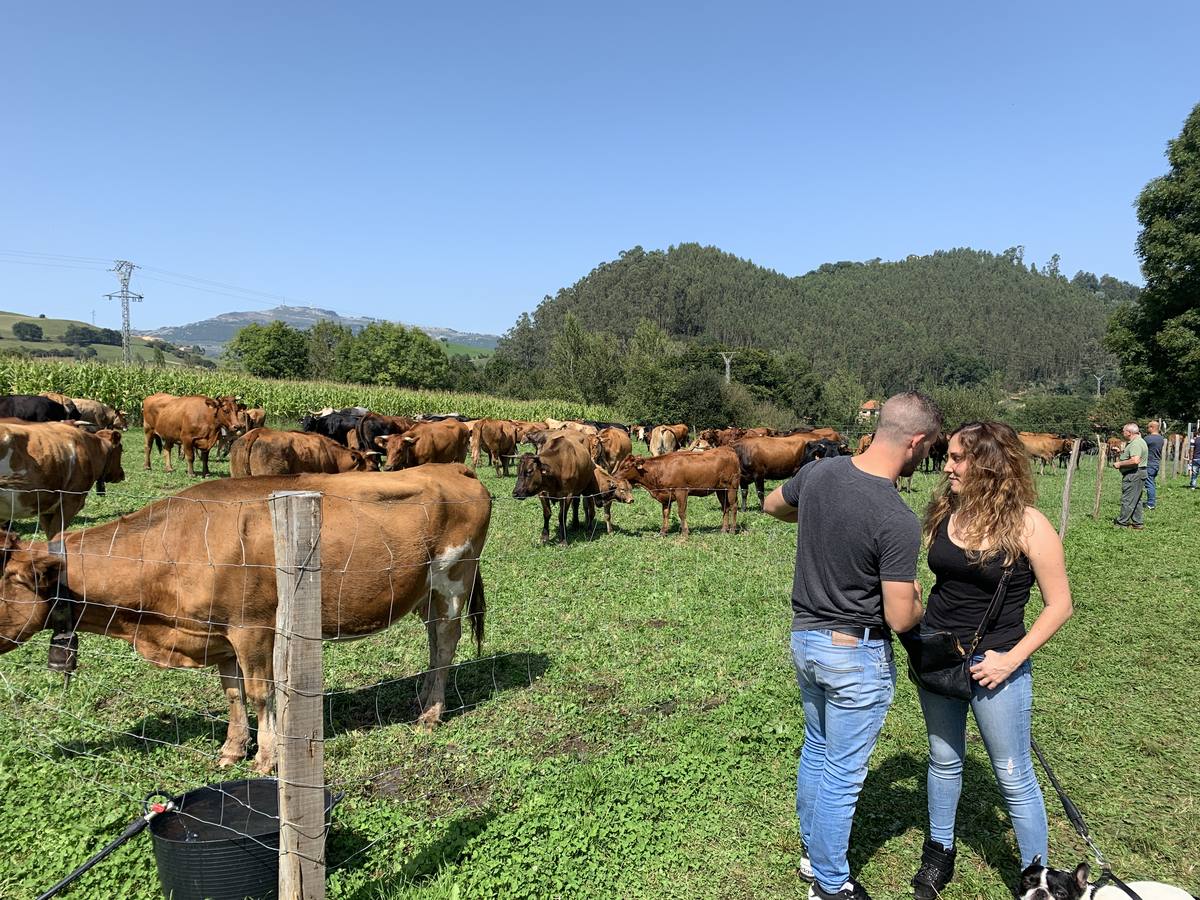 Fotos: Feria ganadera de Liérganes