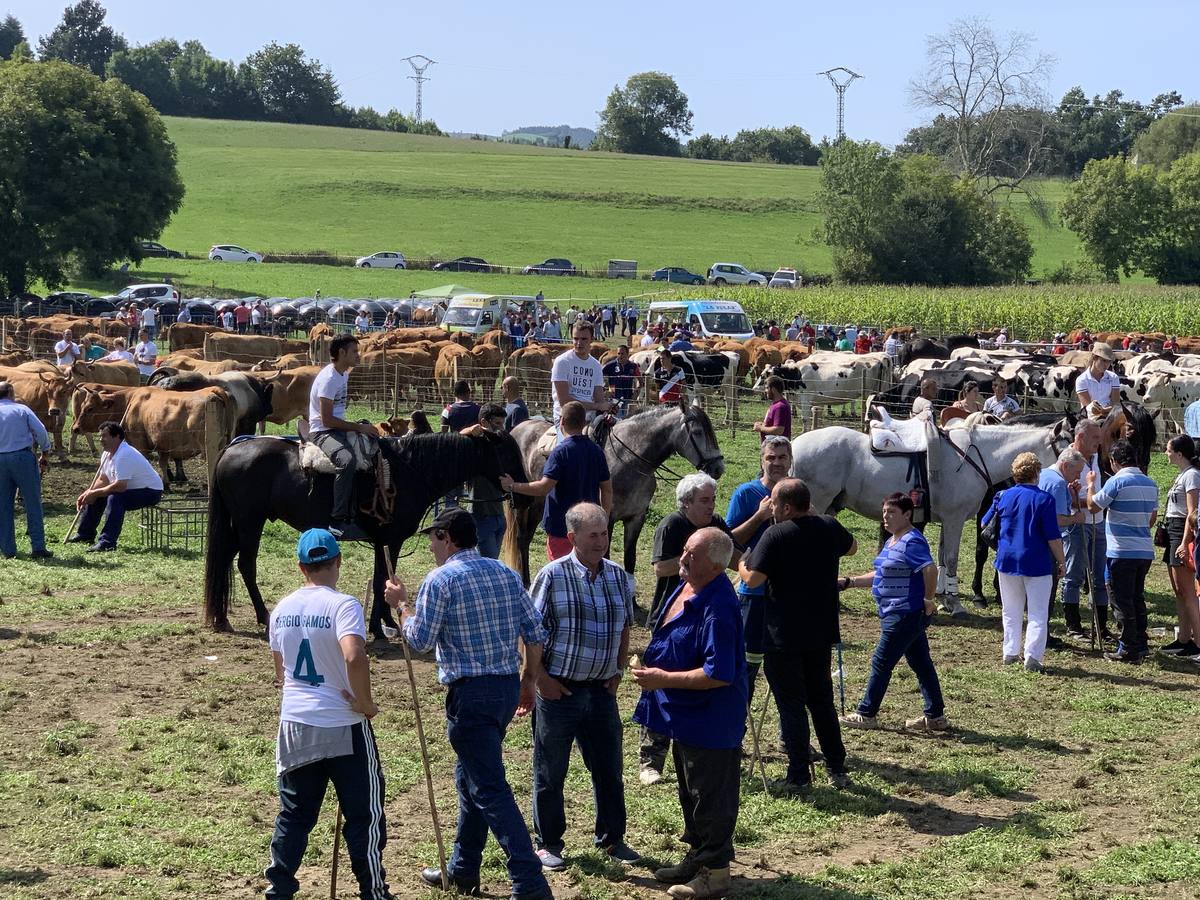 Fotos: Feria ganadera de Liérganes