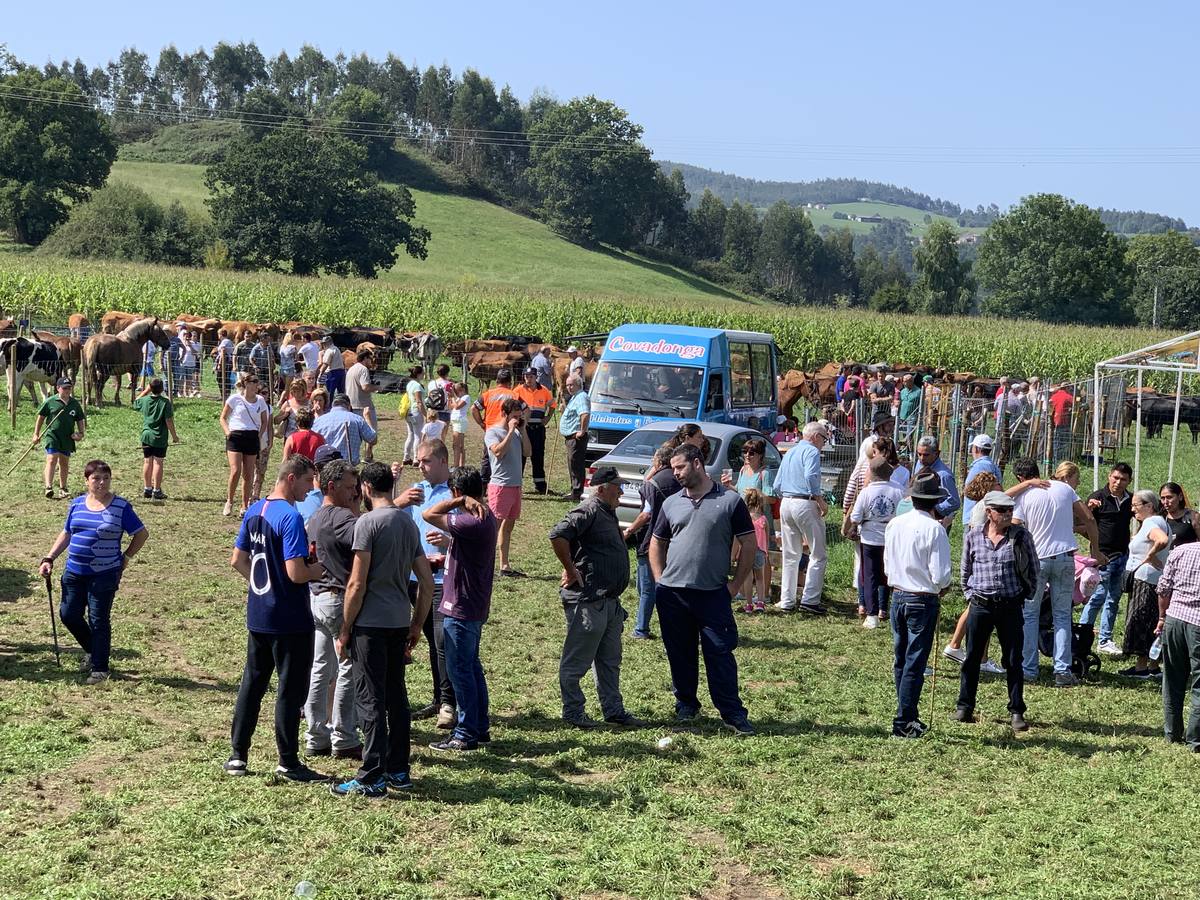 Fotos: Feria ganadera de Liérganes