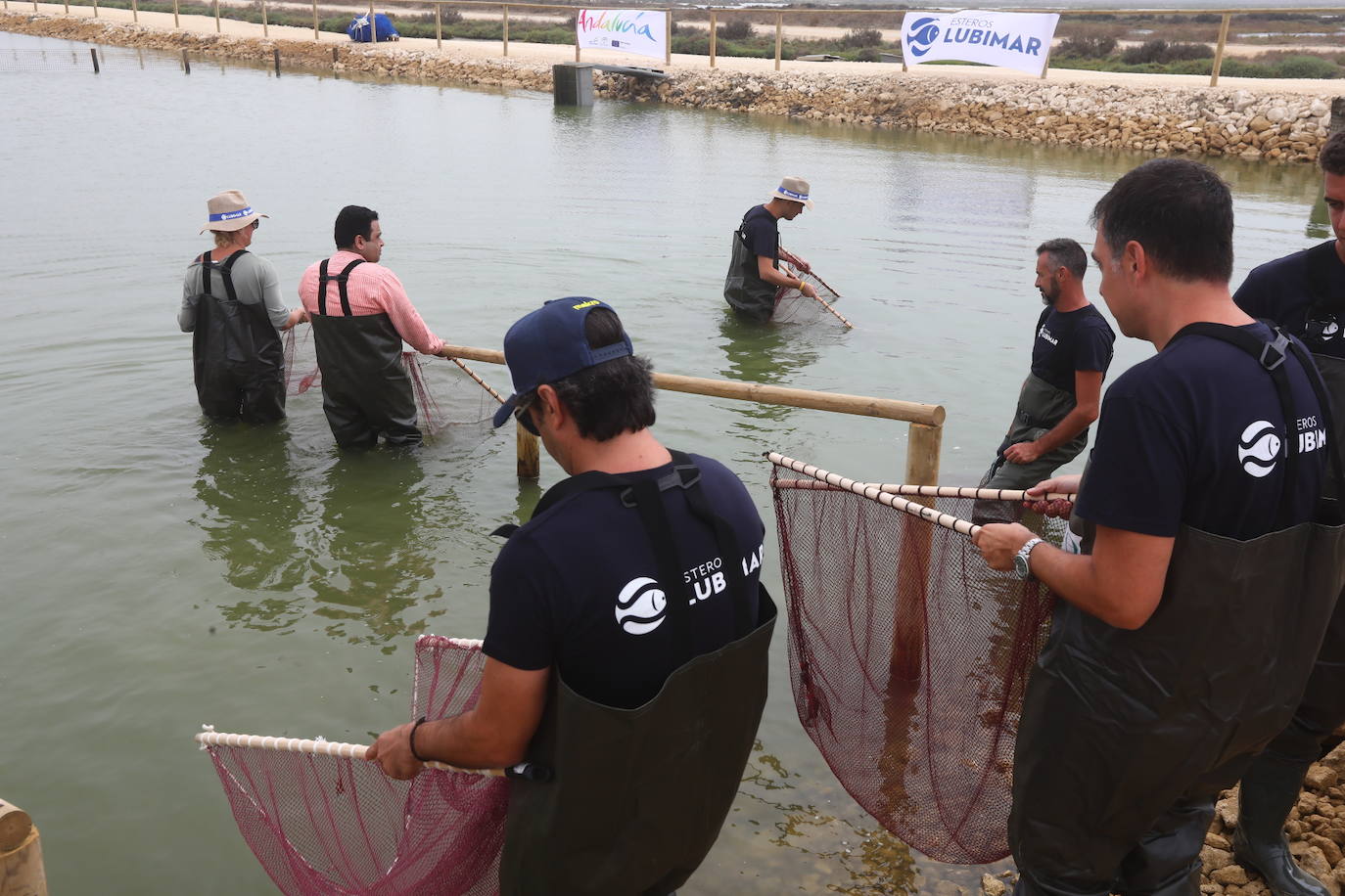 Despesques 2019 ha reunido en los esteros de Lubimar, en Barbate, a más de ochenta cocineros de primer nivel, tanto de España como del extranjero