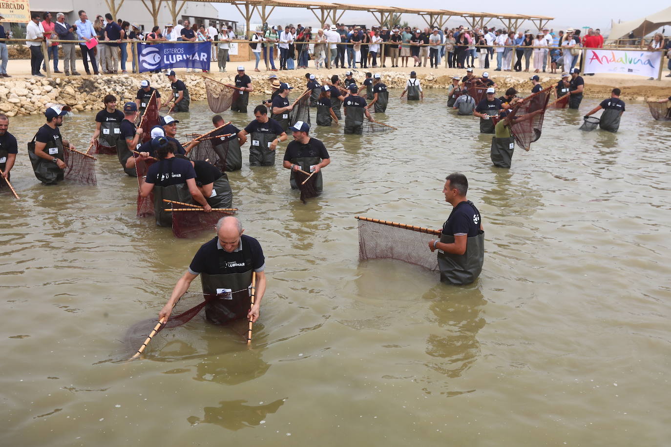 Despesques 2019 ha reunido en los esteros de Lubimar, en Barbate, a más de ochenta cocineros de primer nivel, tanto de España como del extranjero