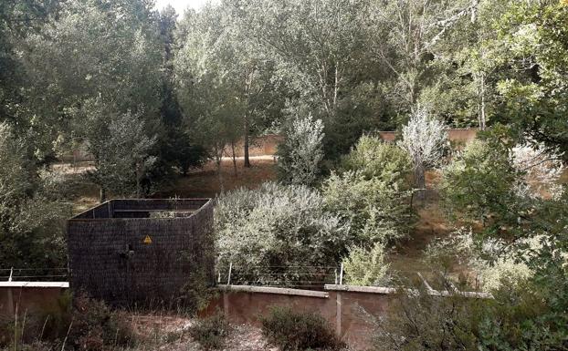 Recinto de pre-suelta de la Junta de Castilla y Léon, en el monte de Valsemana (León), donde el animal permanecerá durante los próximos meses.