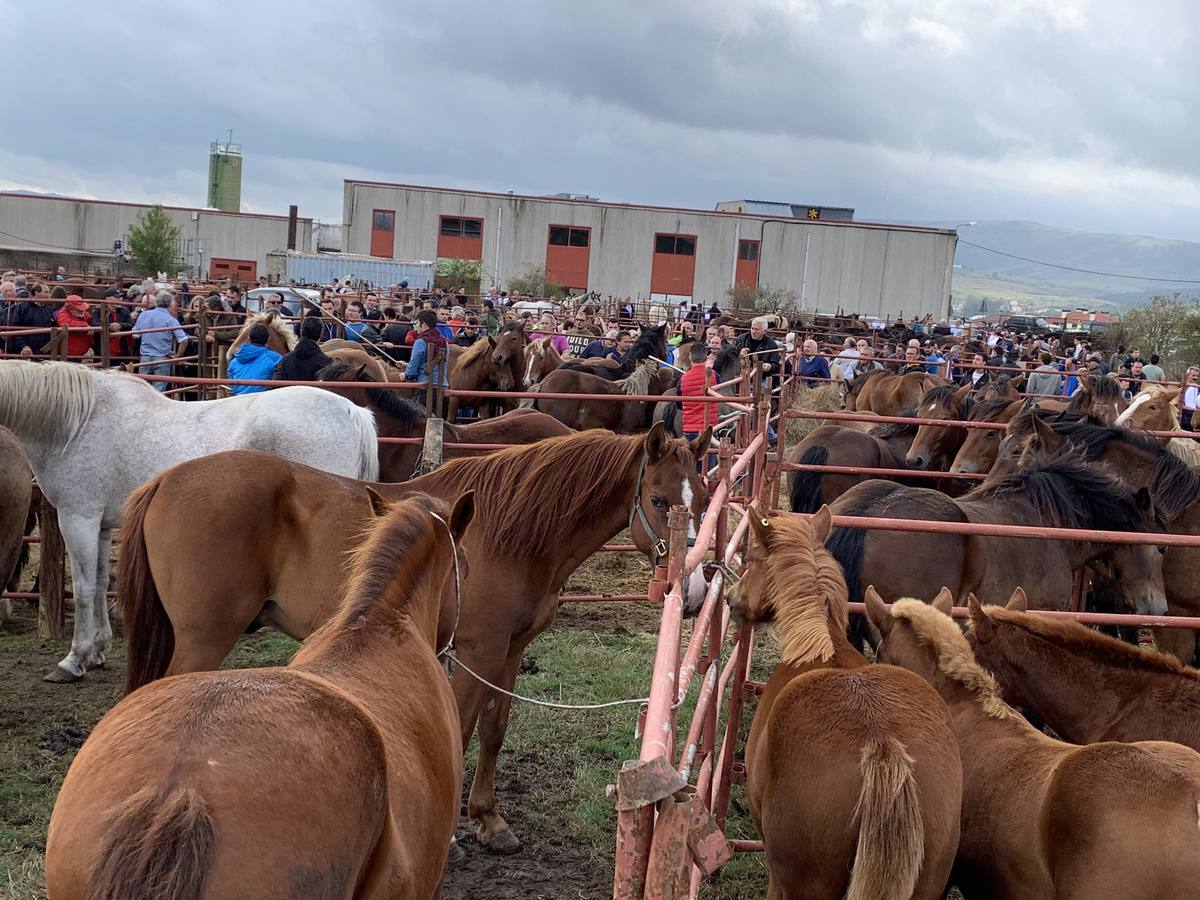 Fotos: Cientos de personas se dan cita en la Feria de San mateo en Reinosa