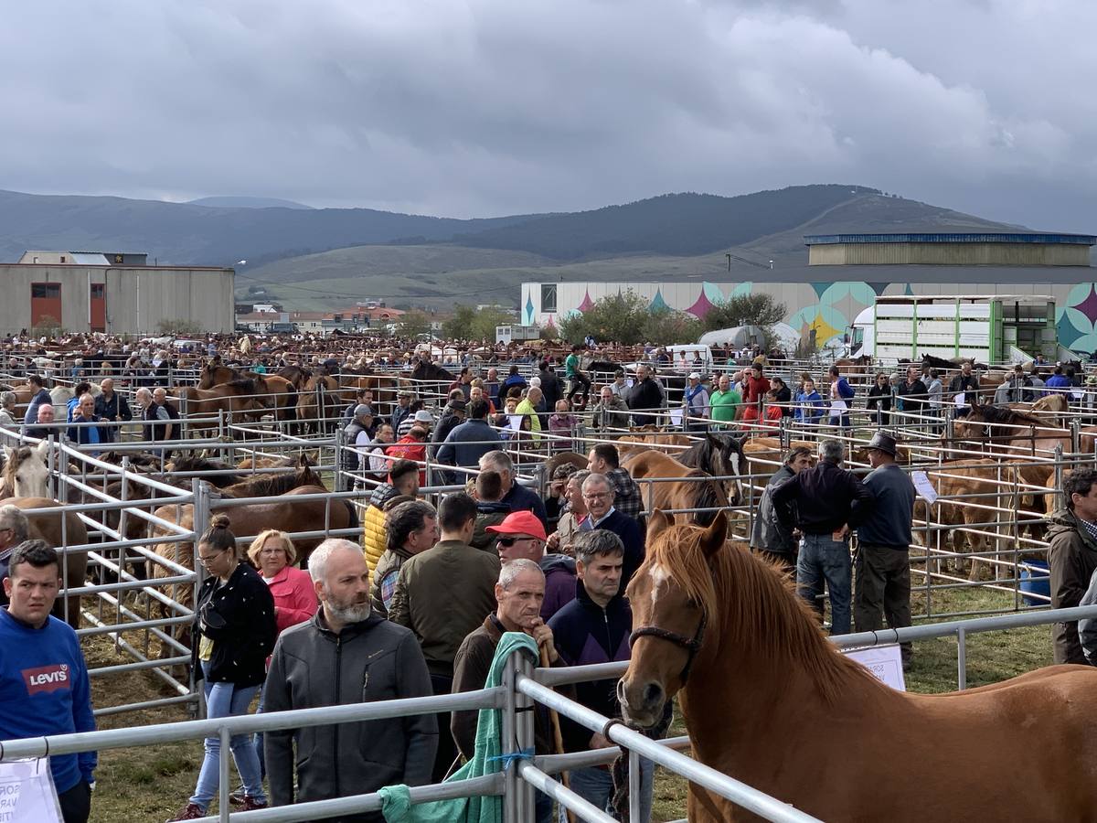 Fotos: Cientos de personas se dan cita en la Feria de San mateo en Reinosa