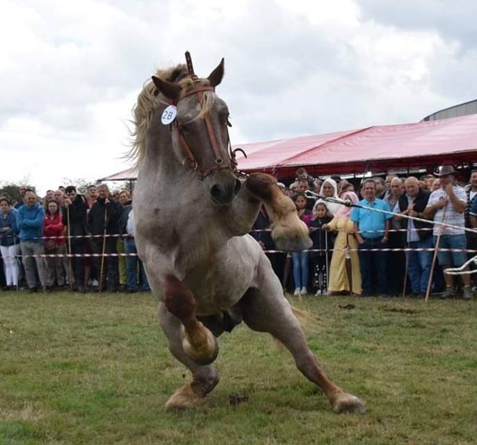 Fotos: Cientos de personas se dan cita en la Feria de San mateo en Reinosa