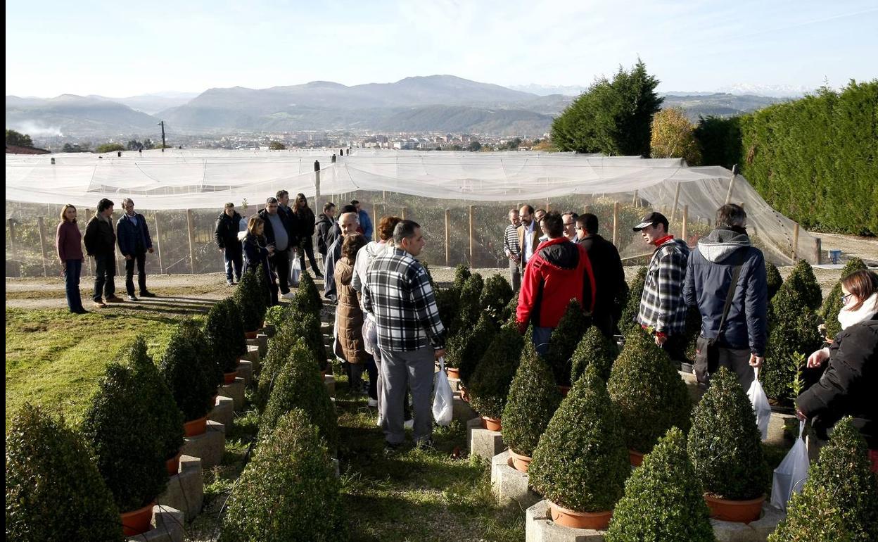 Más de 6.000 escolares participan este curso en el Aula de Educación Ambiental