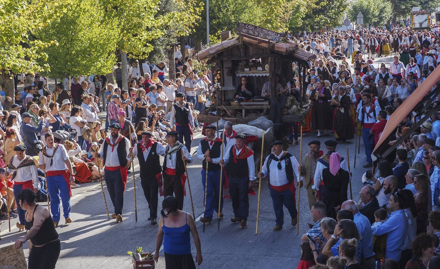 Fotos: Quince carretas y diez agrupaciones folclóricas participarán hoy en el Día de Campoo