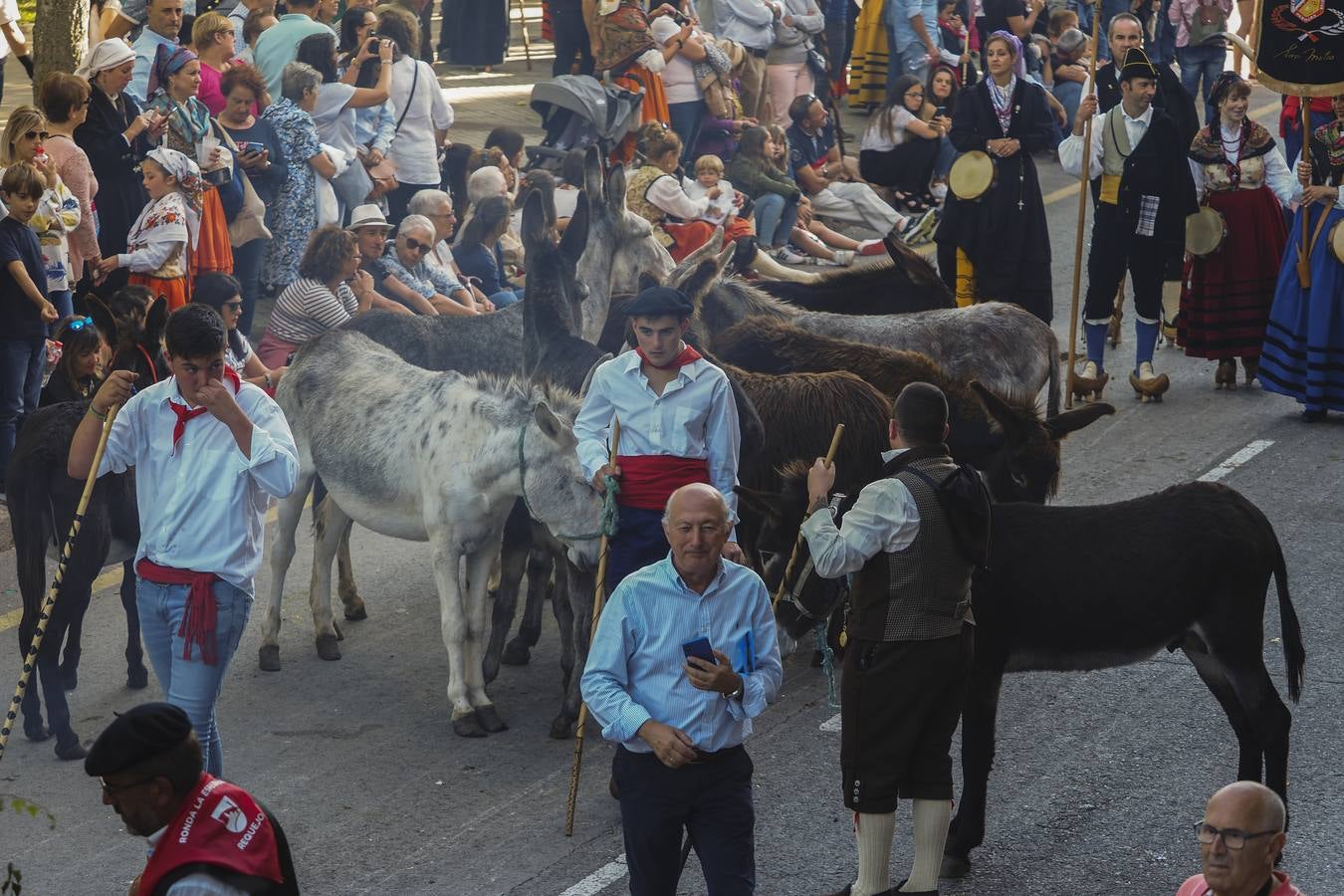 Fotos: Quince carretas y diez agrupaciones folclóricas participarán hoy en el Día de Campoo