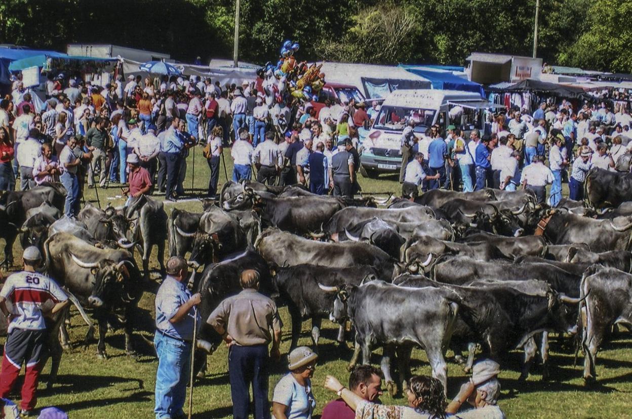 Numeroso público se acercó ayer a la cita tradicional de Puentenansa en el prado Socollo. 