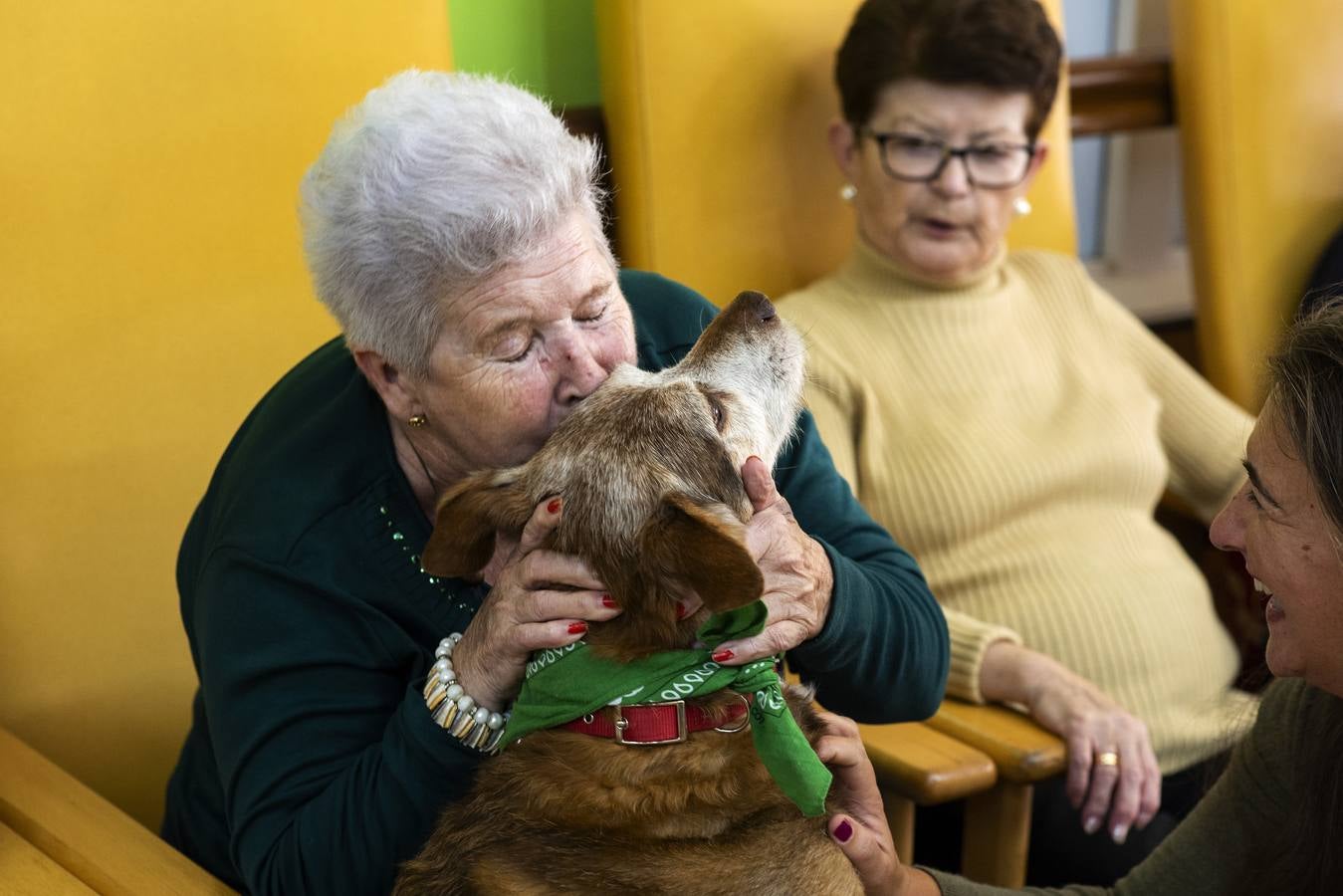 Una anciana abraza a Miko, durante una de las visitas terapéuticas que forman parte de las actividades de la Residencia San Cipriano en Soto de la Marina (Cantabria). 23-11-2018