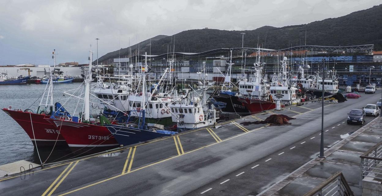 El puerto de Santoña este año ha batido récords de descarga de bocarte y bonito. 