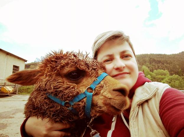 Ana María Lus, con uno de los animales que forman la cabaña de alpacas de Guriezo. 