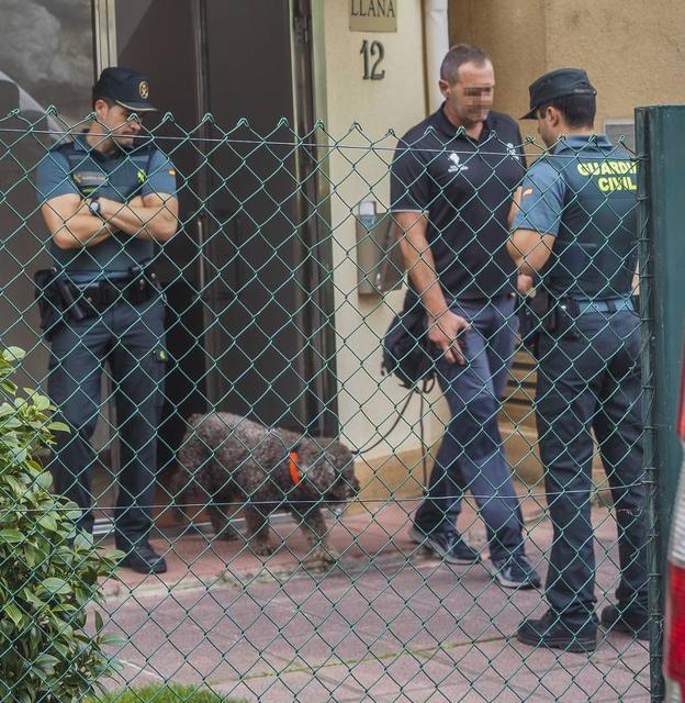 La Guardia Civil recurre al olfato de Marley en busca de pruebas 