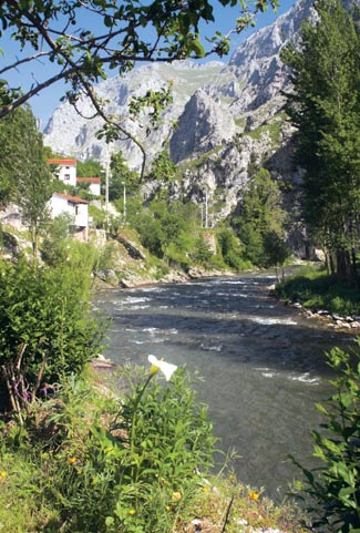 Río Deva a su paso por La Hermida.