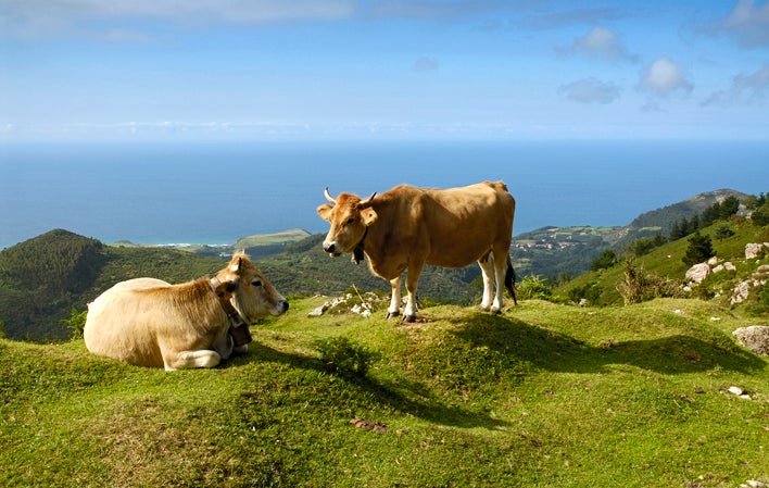 Fotos: Ruta hasta el Pico Pienzu para disfrutar de una gran panorámica de los Picos de Europa y la costa