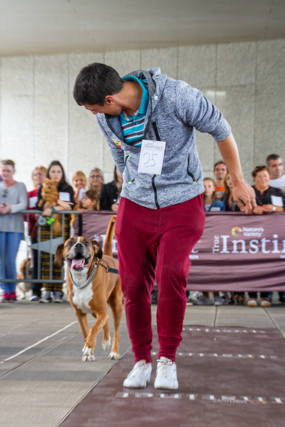 El centro comercial celebró la décima edición de este evento que premió a los perros más bonitos, simpáticos y educados