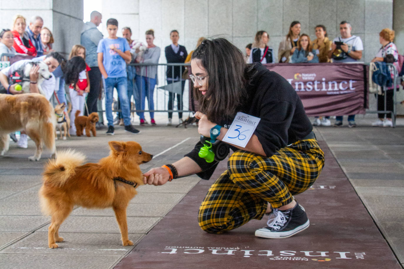 El centro comercial celebró la décima edición de este evento que premió a los perros más bonitos, simpáticos y educados