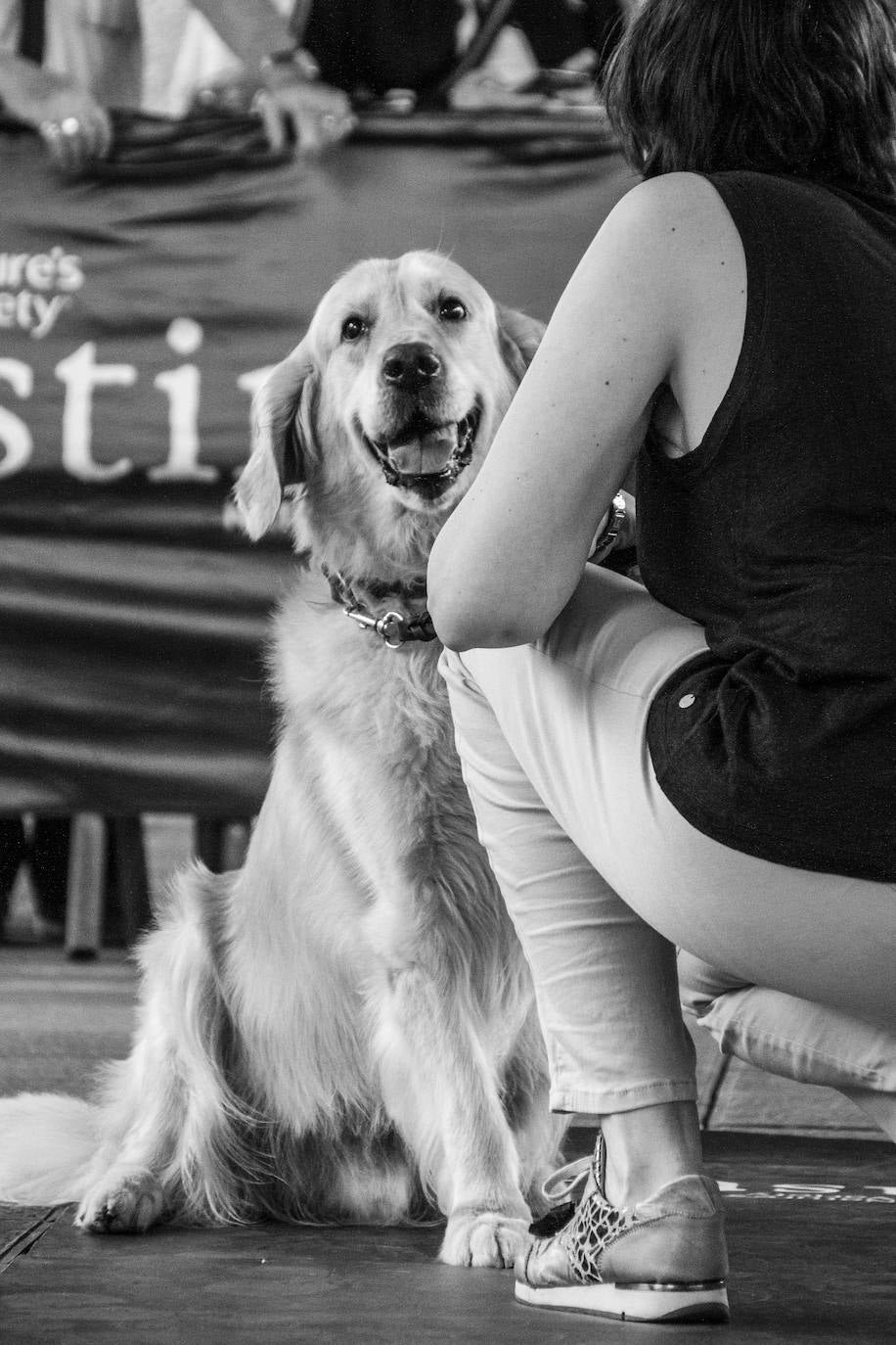 El centro comercial celebró la décima edición de este evento que premió a los perros más bonitos, simpáticos y educados