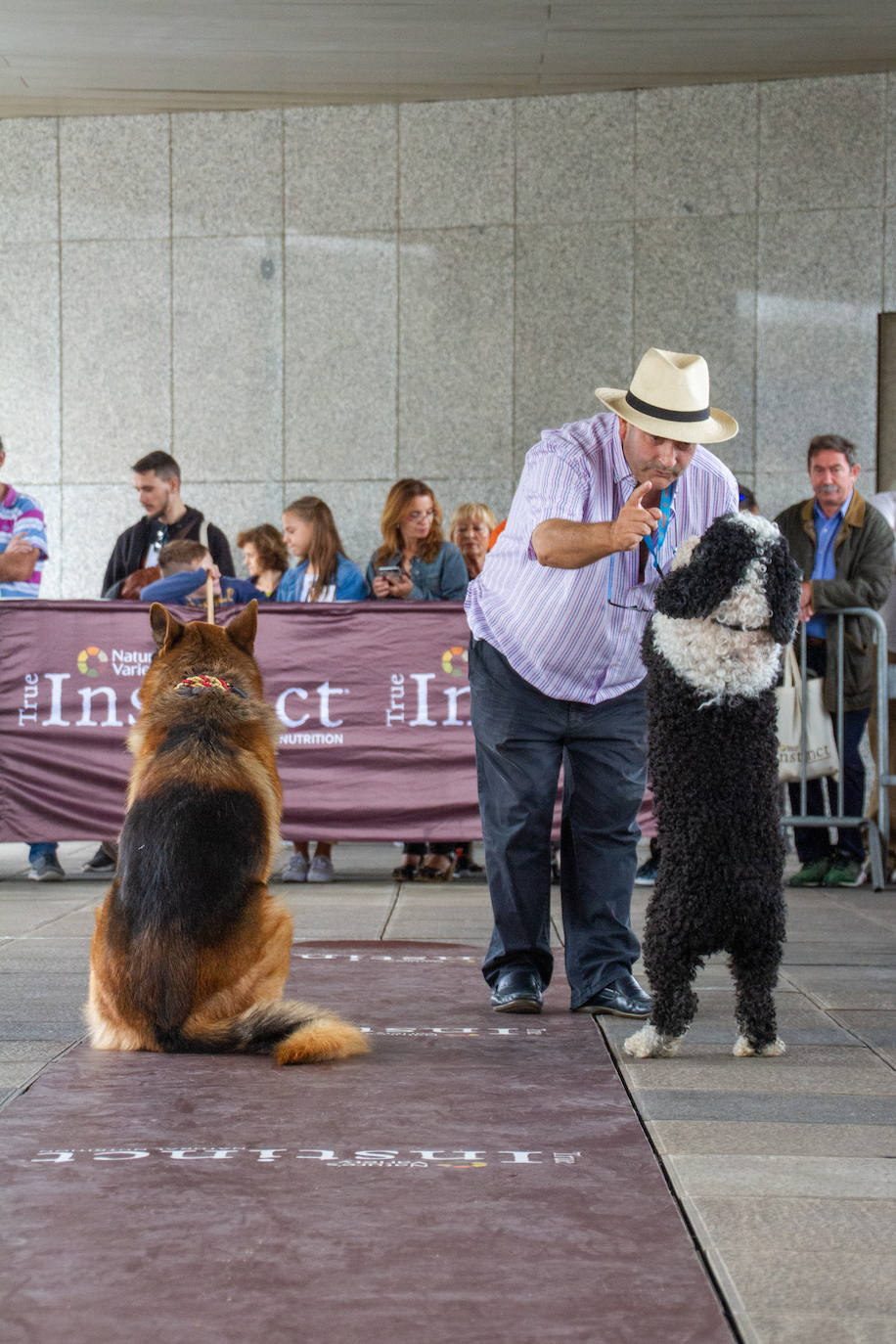 El centro comercial celebró la décima edición de este evento que premió a los perros más bonitos, simpáticos y educados