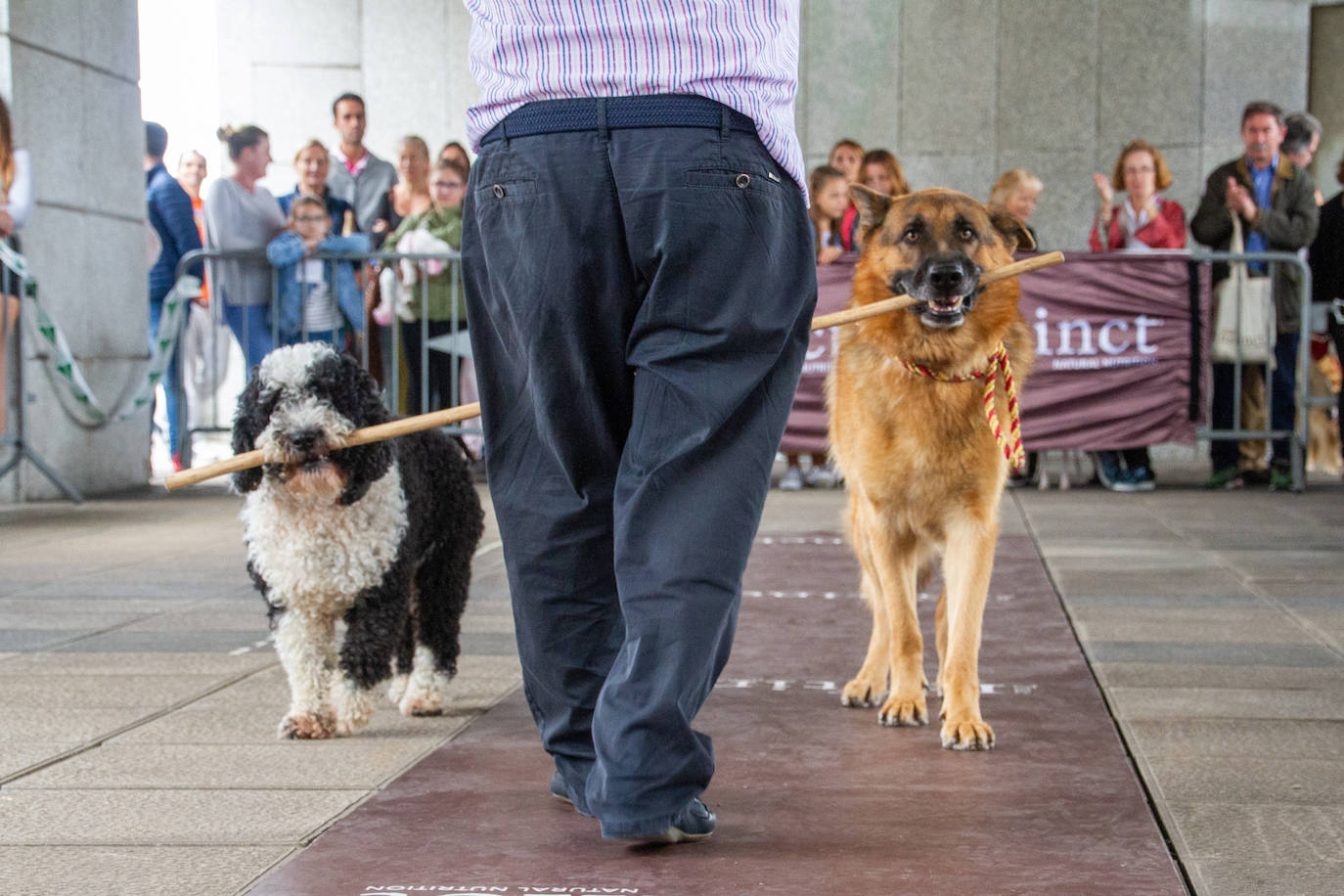 El centro comercial celebró la décima edición de este evento que premió a los perros más bonitos, simpáticos y educados