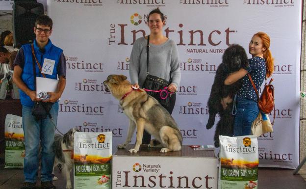 Cuadro de ganadores de las tres categorías a concurso en el desfile canino.