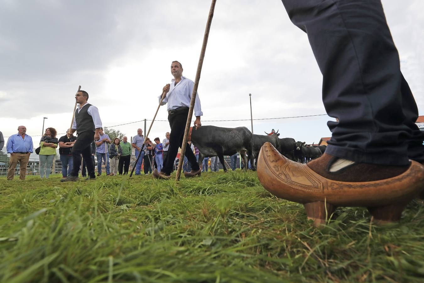 Fotos: Olimpiada del Tudanco en Cabezón de la Sal