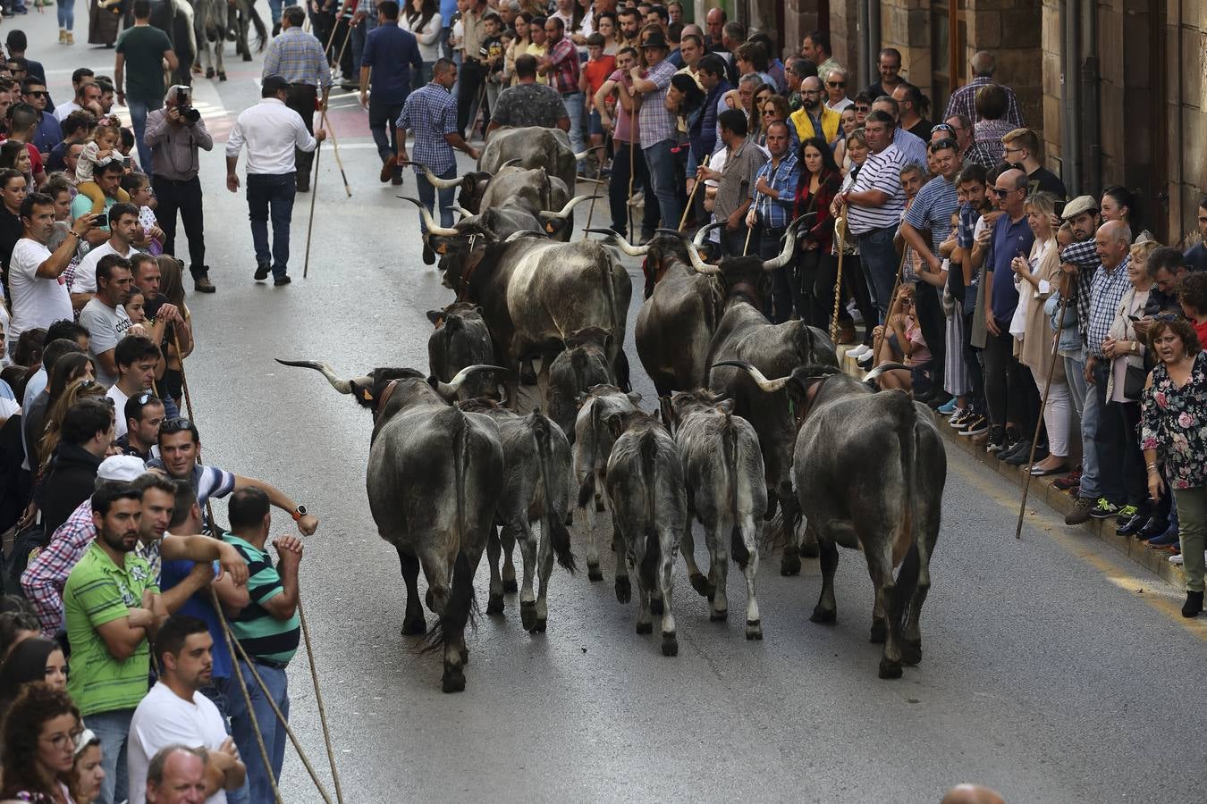 Fotos: Olimpiada del Tudanco en Cabezón de la Sal