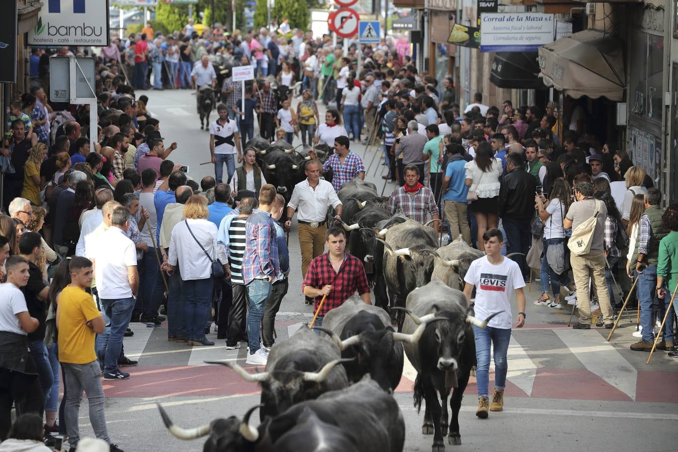 Fotos: Olimpiada del Tudanco en Cabezón de la Sal