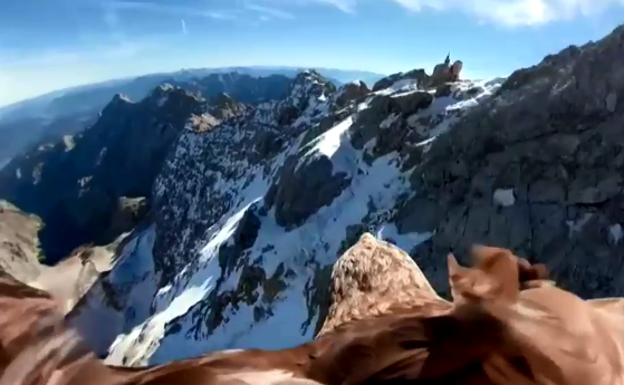 El deshielo de los Alpes visto desde los ojos de un águila