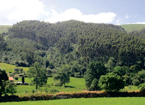 Vista de la sierra de Cos.