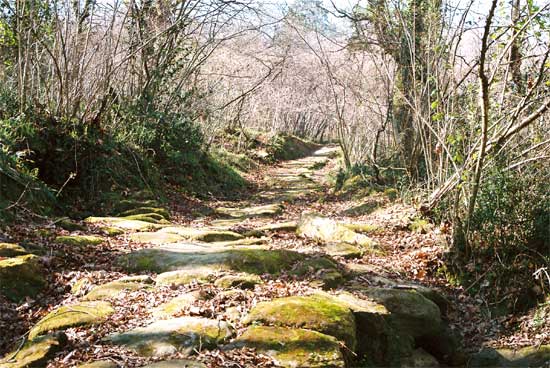 Vista de la calzada del monte Fresneda.