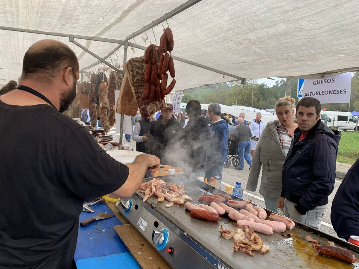 Fotos: Feria de San Lucas en Hoznayo