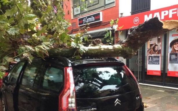 Una rama de gran tamaño cae sobre un coche en Cabezón de la sal y hiere a una mujer